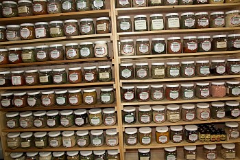 2010_04_15_018.jpg