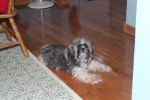 Filename=20141127_thanksgiving_1227.jpg
Filesize=797KiB
Dimensions=1200x800
Date added=Feb 17, 2015 20141127_thanksgiving_1227.jpg