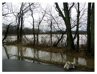 2008_03_19_flood_026.jpg