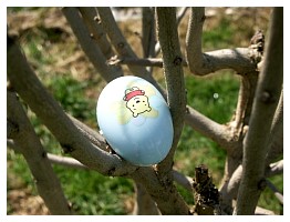 2008_03_23_easter_017.jpg