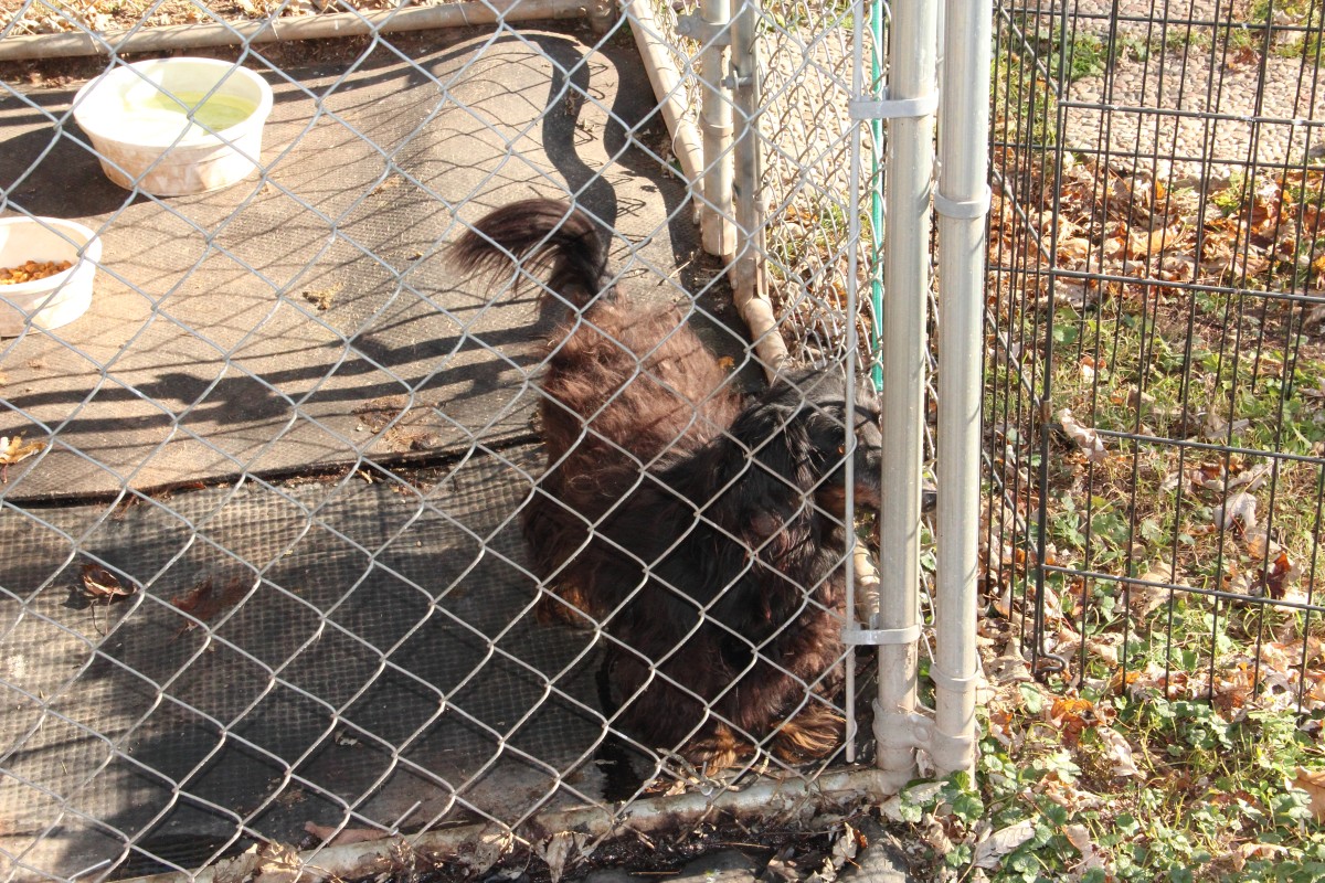 thanksgiving_2012_0190.jpg