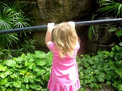 ArboretumSummer2010_053.jpg