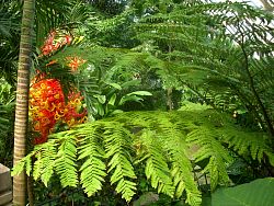 ArboretumSummer2010_055.jpg