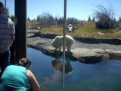 Zoo2010_005.jpg