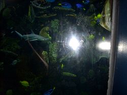 Zoo2010_022.jpg