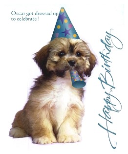 2008_birthday_card_005.jpg