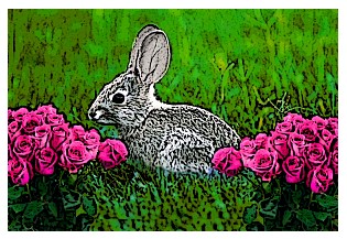 Rabbit_Between_Roses_by_maddrkane13.jpg