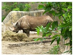 2009_07_03_olivia_zoo_012.jpg