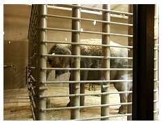 2009_07_03_olivia_zoo_015.jpg