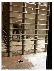 2009_07_03_olivia_zoo_016.jpg