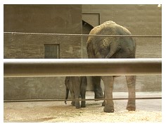 2009_07_03_olivia_zoo_019.jpg