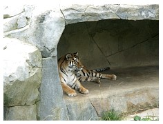 2009_07_03_olivia_zoo_021.jpg