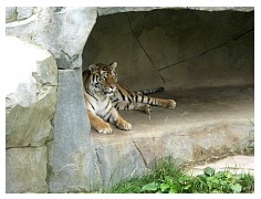 2009_07_03_olivia_zoo_022.jpg