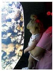 2009_07_03_olivia_zoo_033.jpg