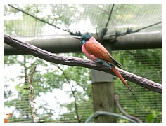 2009_07_03_olivia_zoo_058.jpg