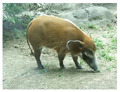 2009_07_03_olivia_zoo_072.jpg