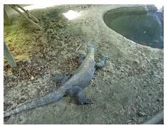 2009_07_03_olivia_zoo_079.jpg