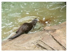 2009_07_03_olivia_zoo_081.jpg