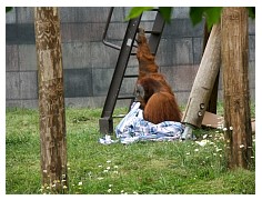 2009_07_03_olivia_zoo_085.jpg