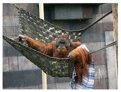 2009_07_03_olivia_zoo_091.jpg