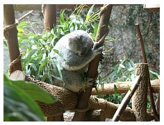 2009_07_03_olivia_zoo_104.jpg