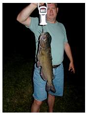 fish027.jpg