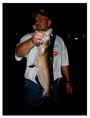fish029.jpg