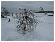 pict0009.jpg