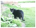 04192007tamken054.jpg